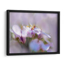 Niebla De Lilac Iii - Gillian Hunt | Cuadro decorativo de Canvas Lab