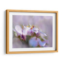 Niebla De Lilac Iii - Gillian Hunt | Cuadro decorativo de Canvas Lab