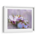 Niebla De Lilac Iii - Gillian Hunt | Cuadro decorativo de Canvas Lab