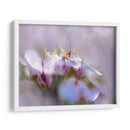 Niebla De Lilac Iii - Gillian Hunt | Cuadro decorativo de Canvas Lab