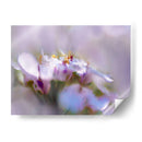 Niebla De Lilac Iii - Gillian Hunt | Cuadro decorativo de Canvas Lab