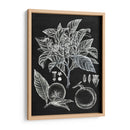 Estudio Botánico Cítrico Ii - Melissa Wang | Cuadro decorativo de Canvas Lab