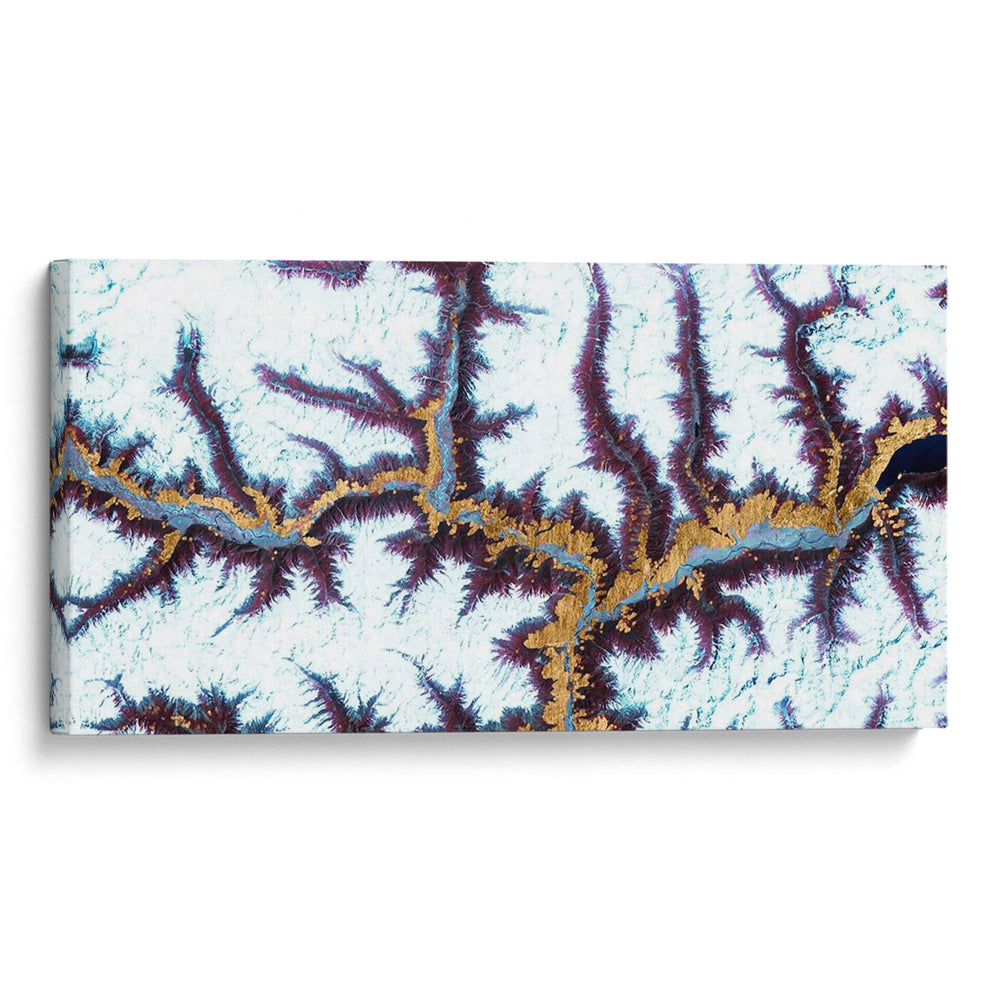 Himalaya Yo - Alicia Ludwig | Cuadro decorativo de Canvas Lab