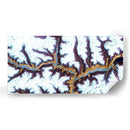 Himalaya Yo - Alicia Ludwig | Cuadro decorativo de Canvas Lab