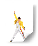 Yas Freddie | Cuadro decorativo de Canvas Lab