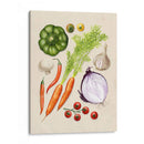 Vegetal Garden Ii - Grace Popp | Cuadro decorativo de Canvas Lab