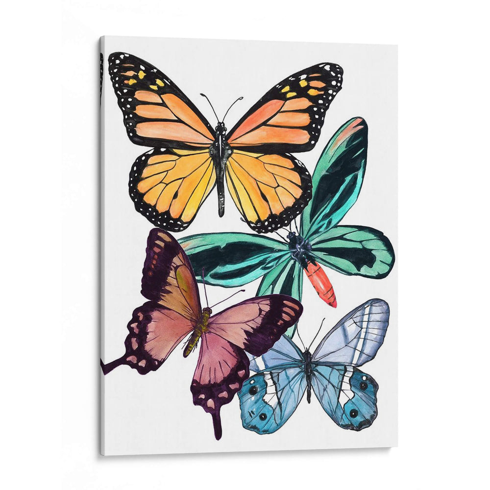 Muestras De Mariposa I - Melissa Wang | Cuadro decorativo de Canvas Lab