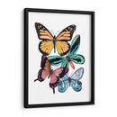 Muestras De Mariposa I - Melissa Wang | Cuadro decorativo de Canvas Lab