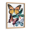 Muestras De Mariposa I - Melissa Wang | Cuadro decorativo de Canvas Lab