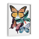 Muestras De Mariposa I - Melissa Wang | Cuadro decorativo de Canvas Lab