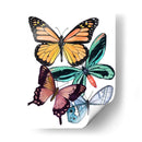 Muestras De Mariposa I - Melissa Wang | Cuadro decorativo de Canvas Lab