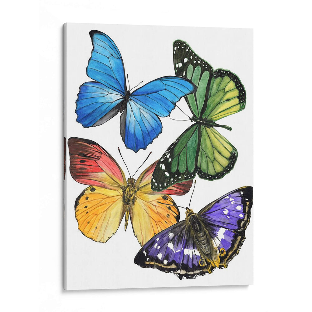 Muestras De Mariposa Ii - Melissa Wang | Cuadro decorativo de Canvas Lab
