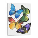 Muestras De Mariposa Ii - Melissa Wang | Cuadro decorativo de Canvas Lab