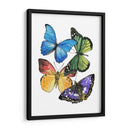 Muestras De Mariposa Ii - Melissa Wang | Cuadro decorativo de Canvas Lab