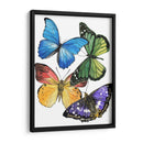 Muestras De Mariposa Ii - Melissa Wang | Cuadro decorativo de Canvas Lab