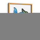 Muestras De Mariposa Ii - Melissa Wang | Cuadro decorativo de Canvas Lab