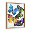 Muestras De Mariposa Ii - Melissa Wang | Cuadro decorativo de Canvas Lab