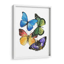Muestras De Mariposa Ii - Melissa Wang | Cuadro decorativo de Canvas Lab