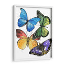 Muestras De Mariposa Ii - Melissa Wang | Cuadro decorativo de Canvas Lab