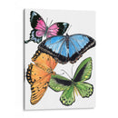 Butterfly Swatches Iii - Melissa Wang | Cuadro decorativo de Canvas Lab