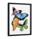 Butterfly Swatches Iii - Melissa Wang | Cuadro decorativo de Canvas Lab