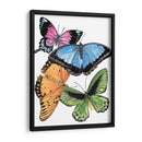Butterfly Swatches Iii - Melissa Wang | Cuadro decorativo de Canvas Lab