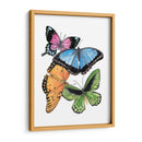 Butterfly Swatches Iii - Melissa Wang | Cuadro decorativo de Canvas Lab