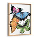 Butterfly Swatches Iii - Melissa Wang | Cuadro decorativo de Canvas Lab