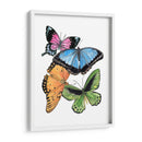 Butterfly Swatches Iii - Melissa Wang | Cuadro decorativo de Canvas Lab