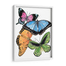 Butterfly Swatches Iii - Melissa Wang | Cuadro decorativo de Canvas Lab