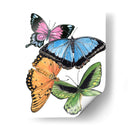 Butterfly Swatches Iii - Melissa Wang | Cuadro decorativo de Canvas Lab