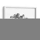 Apple Grabado I - Emma Scarvey | Cuadro decorativo de Canvas Lab