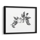 Apple Grabando Ii - Emma Scarvey | Cuadro decorativo de Canvas Lab