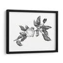 Apple Grabando Ii - Emma Scarvey | Cuadro decorativo de Canvas Lab