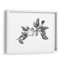 Apple Grabando Ii - Emma Scarvey | Cuadro decorativo de Canvas Lab