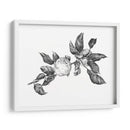 Apple Grabando Ii - Emma Scarvey | Cuadro decorativo de Canvas Lab