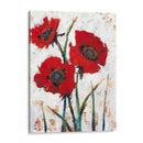 Amapola Roja Fresco I - Tim OToole | Cuadro decorativo de Canvas Lab