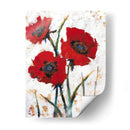 Amapola Roja Fresco I - Tim OToole | Cuadro decorativo de Canvas Lab