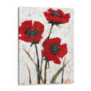 Poppy Fresco Ii Roja - Tim OToole | Cuadro decorativo de Canvas Lab
