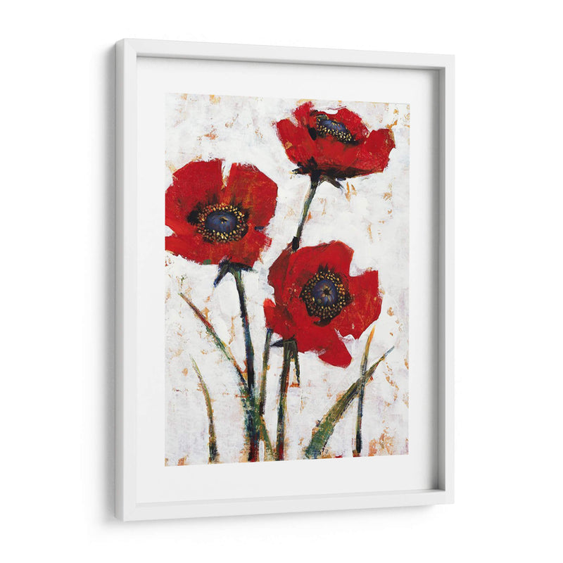 Poppy Fresco Ii Roja - Tim OToole | Cuadro decorativo de Canvas Lab