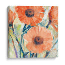 Flores En Bloom Ii - Tim OToole | Cuadro decorativo de Canvas Lab