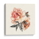 La Luz Del Día Rose Ii - Georges Cuvier | Cuadro decorativo de Canvas Lab