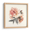 La Luz Del Día Rose Ii - Georges Cuvier | Cuadro decorativo de Canvas Lab