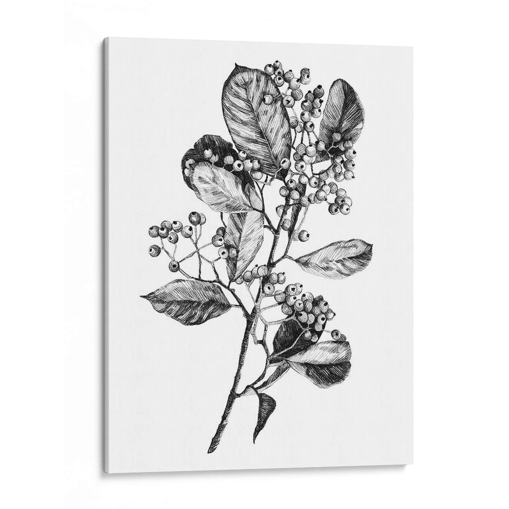 Espino Berry Rama I - Emma Scarvey | Cuadro decorativo de Canvas Lab