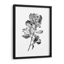 Espino Berry Rama I - Emma Scarvey | Cuadro decorativo de Canvas Lab