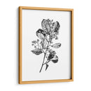 Espino Berry Rama I - Emma Scarvey | Cuadro decorativo de Canvas Lab