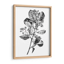 Espino Berry Rama I - Emma Scarvey | Cuadro decorativo de Canvas Lab