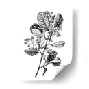 Espino Berry Rama I - Emma Scarvey | Cuadro decorativo de Canvas Lab