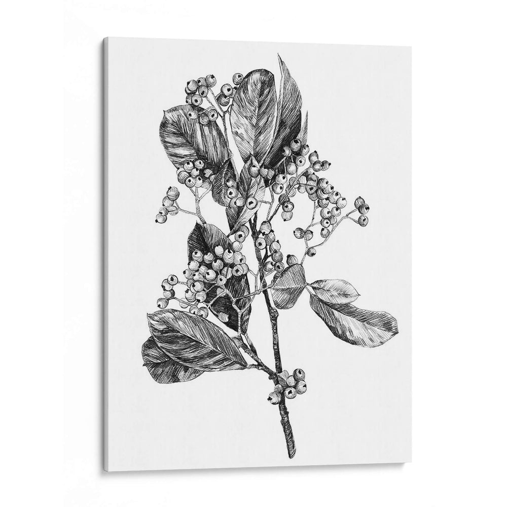 Espino Berry Rama Ii - Emma Scarvey | Cuadro decorativo de Canvas Lab