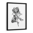 Espino Berry Rama Ii - Emma Scarvey | Cuadro decorativo de Canvas Lab